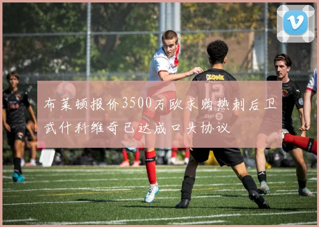 布莱顿报价3500万欧求购热刺后卫武什科维奇已达成口头协议